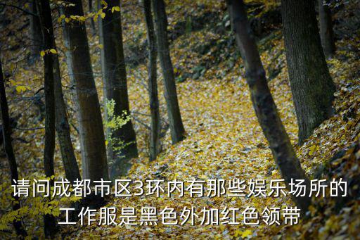 請問成都市區3環內有那些娛樂場所的工作服是黑色外加紅色領帶
