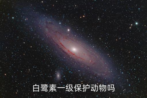重慶市伸縮縫清單用哪個，白鷺素一級保護動物嗎