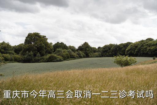 重慶市高三入學診斷考試數學，重慶高三高考報名指南的數學模擬題答案在線等