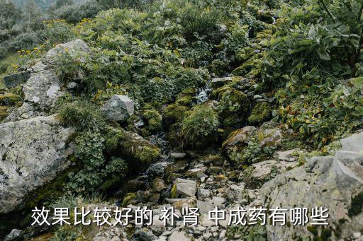 效果比較好的 補腎 中成藥有哪些