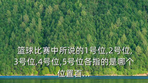  籃球比賽中所說的1號位,2號位,3號位,4號位,5號位各指的是哪個位置百...