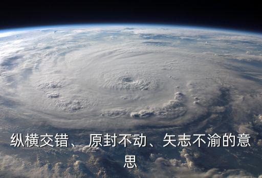 縱橫交錯、 原封不動、矢志不渝的意思