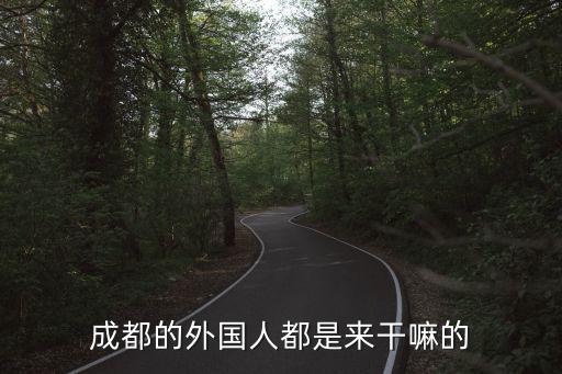成都的外國(guó)人都是來(lái)干嘛的
