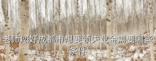 老師您好成都市想要領失業金需要哪些條件