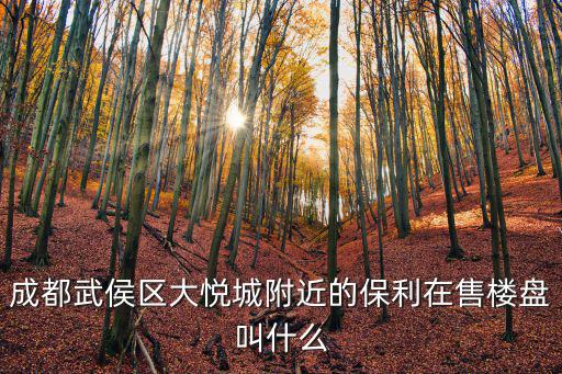 成都武侯區大悅城附近的保利在售樓盤叫什么