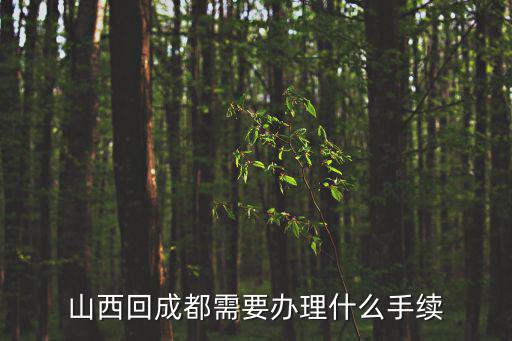 山西回成都需要辦理什么手續(xù)