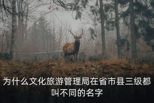 重慶市立山區(qū)文旅局，東區(qū)的友好縣區(qū)
