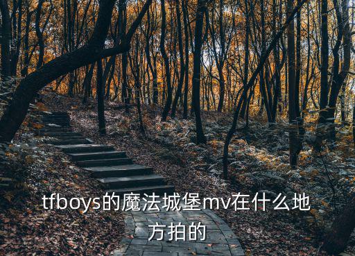 tfboys的魔法城堡mv在什么地方拍的