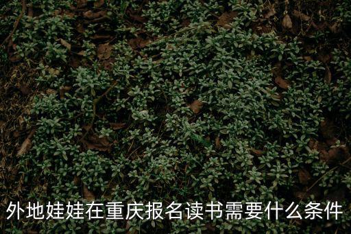 外地娃娃在重慶報(bào)名讀書(shū)需要什么條件