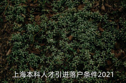 上海本科人才引進(jìn)落戶條件2021