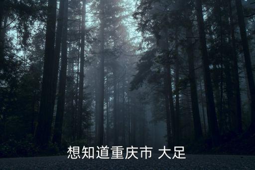 想知道重慶市 大足