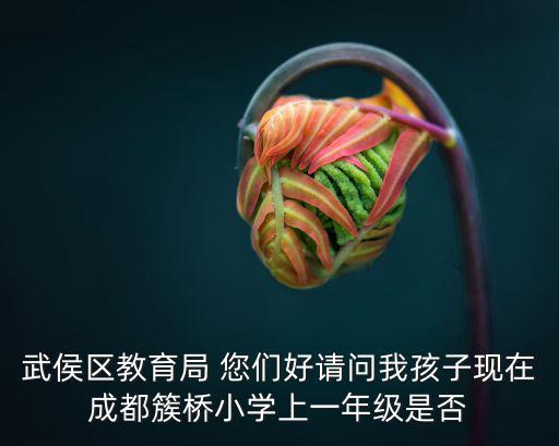 武侯區教育局 您們好請問我孩子現在成都簇橋小學上一年級是否