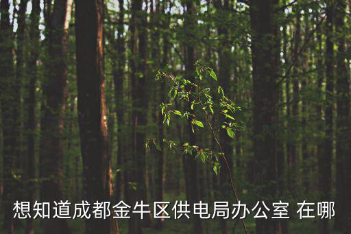 想知道成都金牛區供電局辦公室 在哪