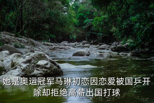 乒乓球白楊，講一下白楊m的特點(diǎn)