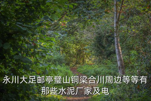 永川大足郵亭璧山銅梁合川周邊等等有那些水泥廠家及電