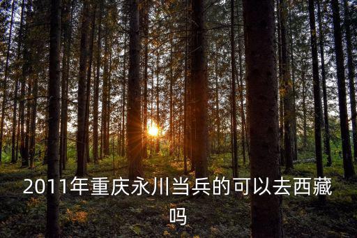 2011年重慶永川當兵的可以去西藏嗎