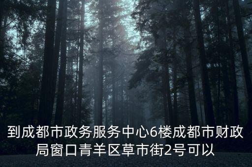 到成都市政務(wù)服務(wù)中心6樓成都市財(cái)政局窗口青羊區(qū)草市街2號可以