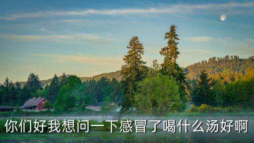 你們好我想問一下感冒了喝什么湯好啊