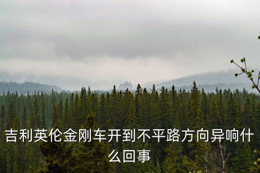 吉利英倫金剛車開到不平路方向異響什么回事