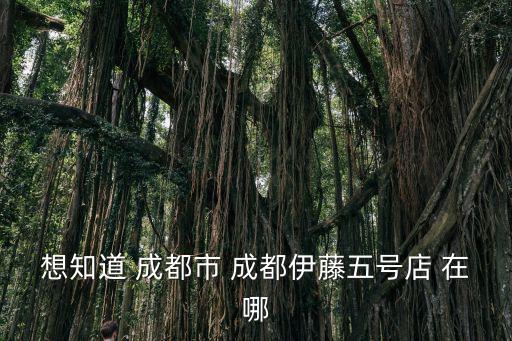 想知道 成都市 成都伊藤五號店 在哪