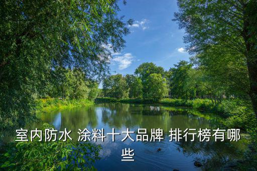 室內防水 涂料十大品牌 排行榜有哪些