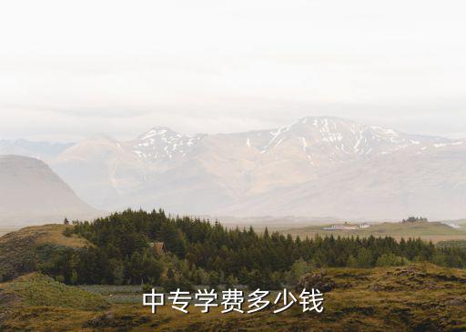 南京玄武中專學費多少錢，南京市玄武中等專業學校