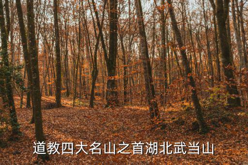 湖北名山，湖北有名的山是什么