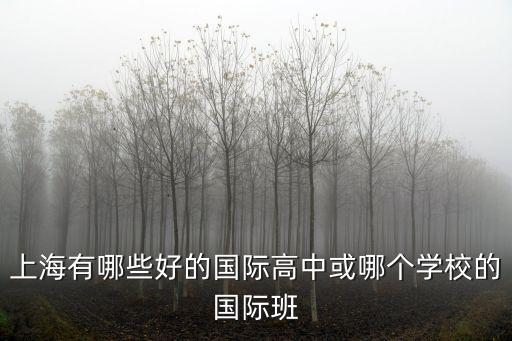 上海有多少家國際學校高中，上海有哪些好的國際高中或哪個學校的國際班