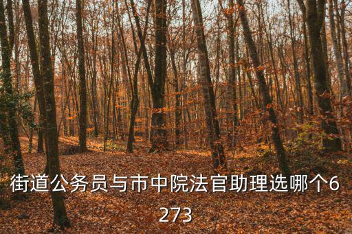 天津市中院法官助理報考，街道公務員與市中院法官助理選哪個6273
