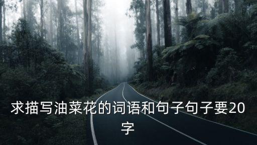 油菜花的描寫，怎么形容油菜花