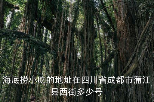 海底撈小吃的地址在四川省成都市蒲江縣西街多少號