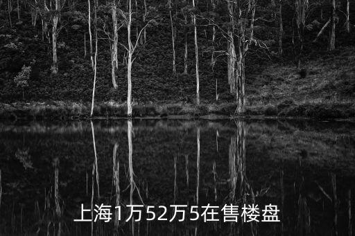 上海新房樓盤(pán)在售樓盤(pán)市區(qū)，上海最近靠近市區(qū)哪里有新樓盤(pán)