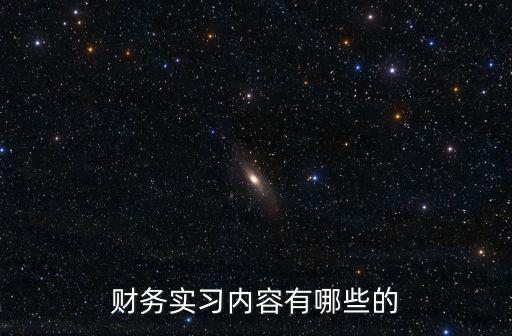 財務實習內容有哪些的