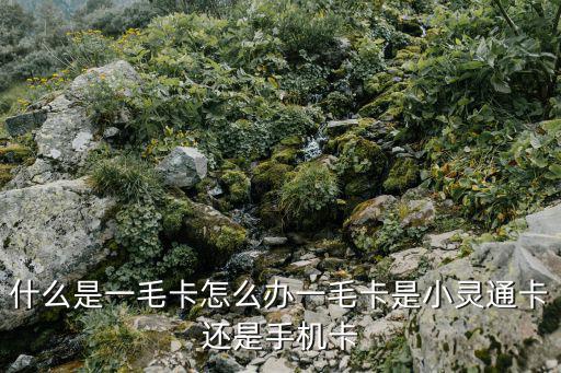 什么是一毛卡怎么辦一毛卡是小靈通卡還是手機(jī)卡