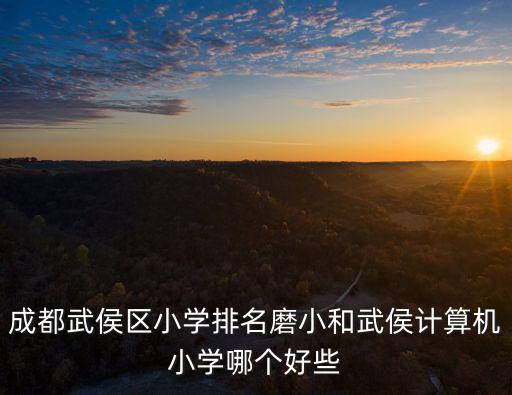 成都武侯區(qū)小學(xué)排名磨小和武侯計(jì)算機(jī)小學(xué)哪個(gè)好些
