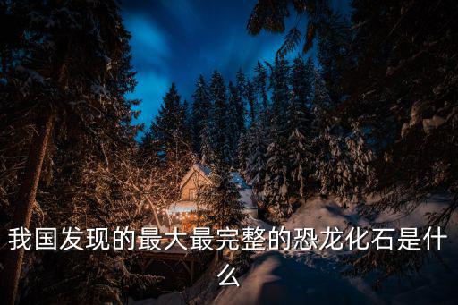 重慶市合川區(qū)恐龍化石發(fā)掘，中國最完整的恐龍化石出現(xiàn)在什么地方