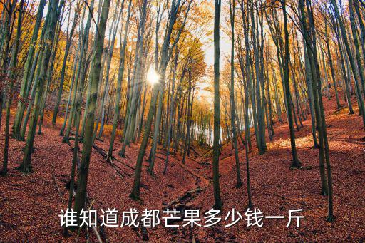 成都市芒果價格，芒果一斤多少錢