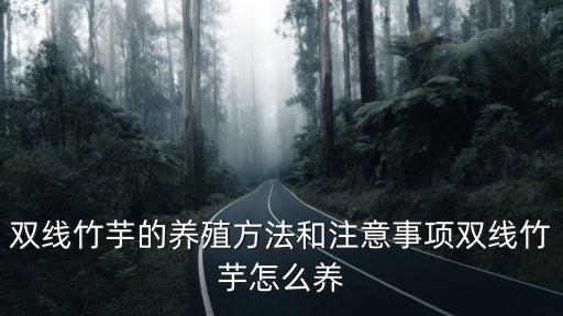 雙線竹芋，雙線竹芋的養殖方法和注意事項雙線竹芋怎么養
