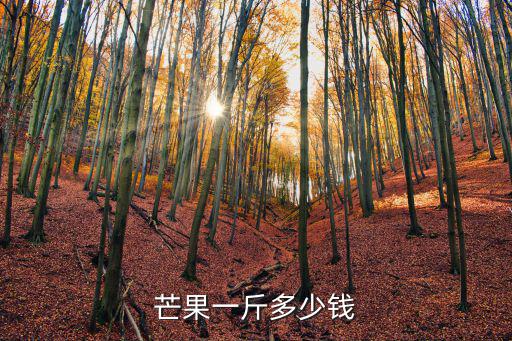 芒果一斤多少錢