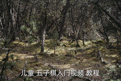 兒童 五子棋入門視頻 教程