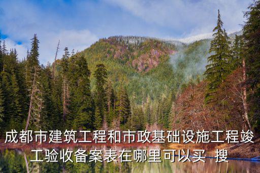 成都市建筑工程和市政基礎(chǔ)設(shè)施工程竣工驗(yàn)收備案表在哪里可以買  搜