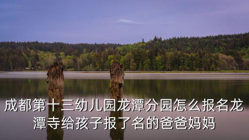 成都第十三幼兒園龍?zhí)斗謭@怎么報名龍?zhí)端陆o孩子報了名的爸爸媽媽