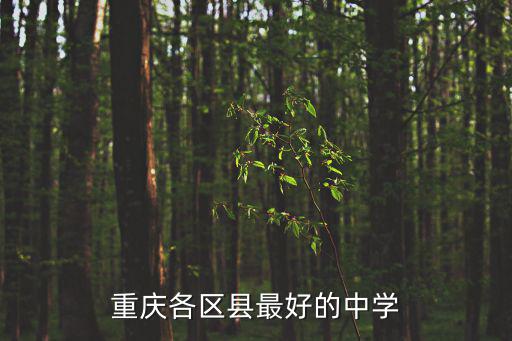 重慶各區(qū)縣最好的中學