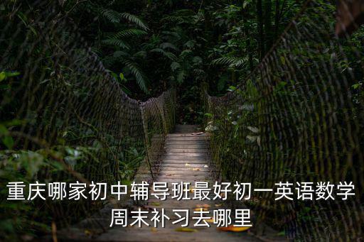 重慶哪家初中輔導(dǎo)班最好初一英語數(shù)學(xué)周末補(bǔ)習(xí)去哪里