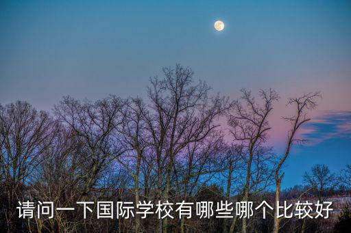 請問一下國際學校有哪些哪個比較好