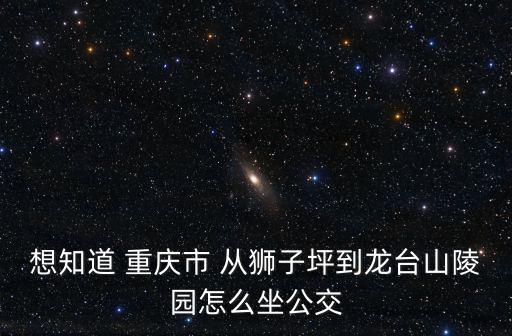 重慶市龍臺山，想知道 重慶市 從獅子坪到龍臺山陵園怎么坐公交