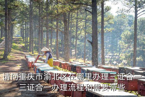 請問重慶市渝北區(qū)在哪里辦理三證合一三證合一辦理流程和需要帶些