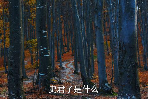 史君子是什么