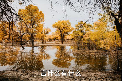 言什么有什么