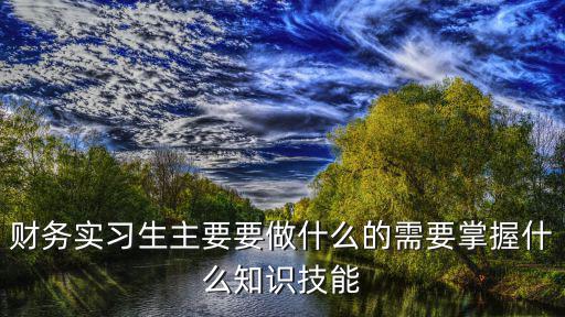 財務實習生主要要做什么的需要掌握什么知識技能